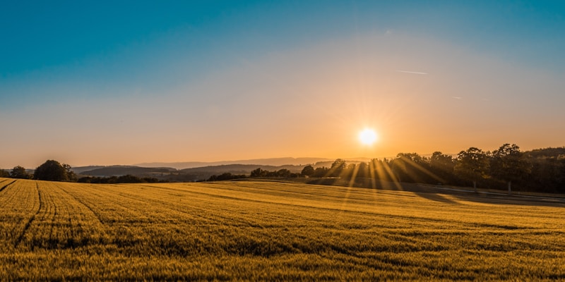 UK countryside